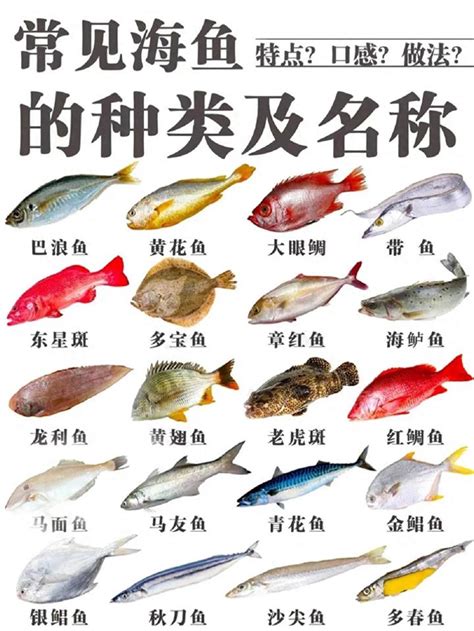 魚的意思